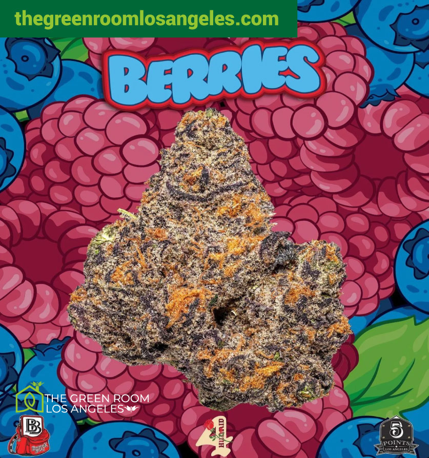 12 a Backpackboyz Bompton Berries