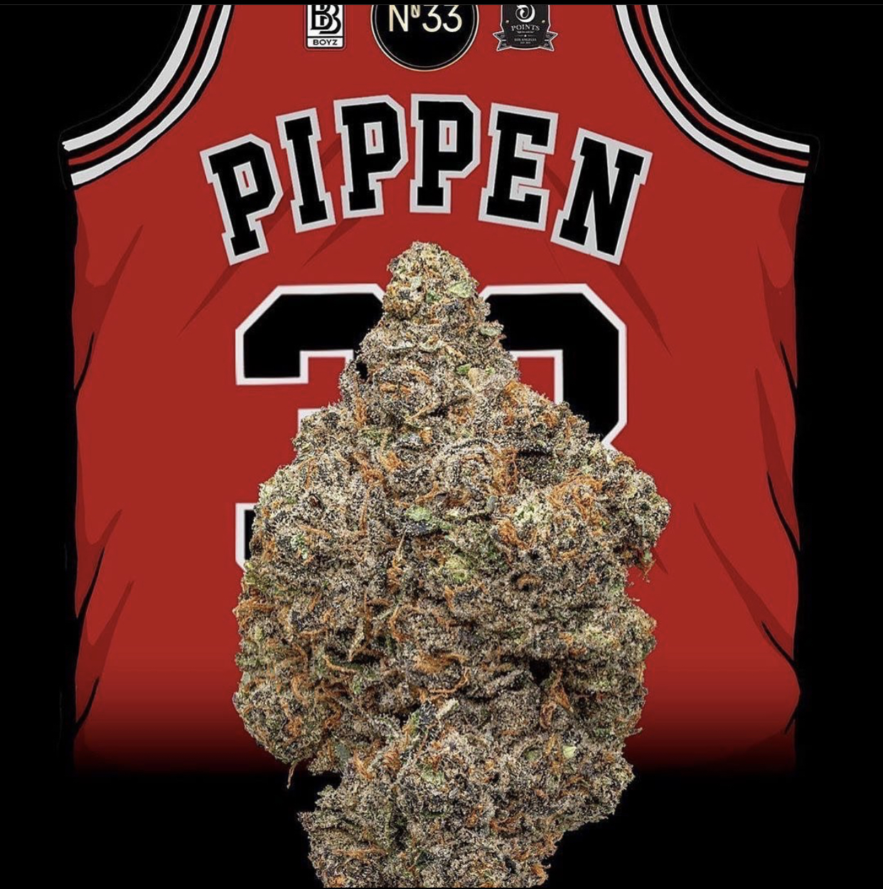 Scottie Pippen Strain Scottie Pippen Strain
