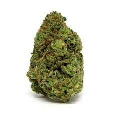 Hazelnut Cream Strain