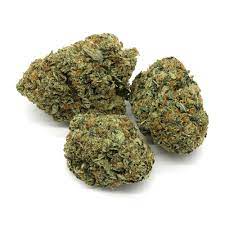 Platinum Rockstar Strain