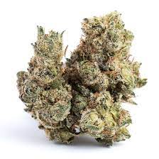 Han Solo Burger Strain