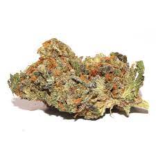 Tropical Sunset Strain