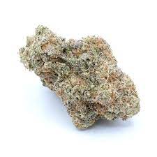 Slurry Crasher Strain