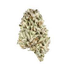 Raspberry Gelato Strain