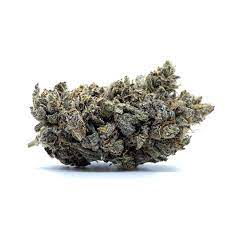 lso truffle monkey strain