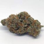 Flap Jacks Strain