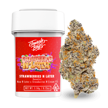 Jungle Boys | Jar Strawberries N Cream - 3.5g Flower